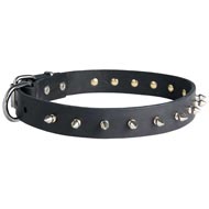Black Russian Terrier Leather Collar Spiked 30 mm  Black Russian Terrier Leather Collar Spiked 30 mm