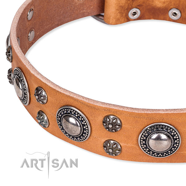 Basic training embellished dog collar of quality full grain leather