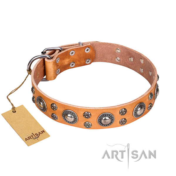Easy wearing dog collar of quality full grain genuine leather with adornments