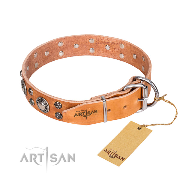 Daily walking decorated dog collar of top quality leather