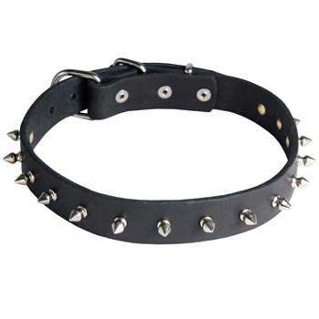 Black Russian Terrier Dog Leather Collar Steel Nickel Plates Spikes