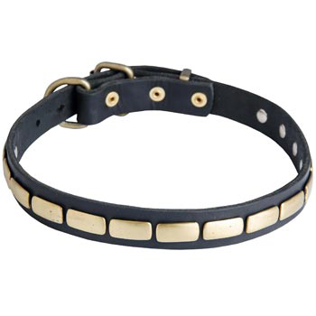 Walking Leather Collar with Brass Decoration for Black Russian Terrier