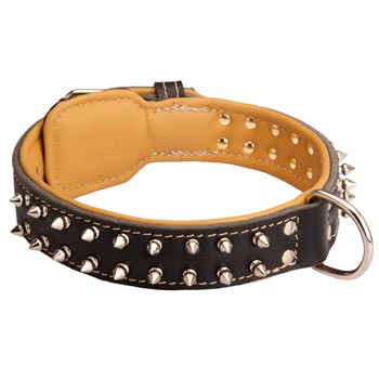 Black Russian Terrier Collar Leather Spiked Padded
