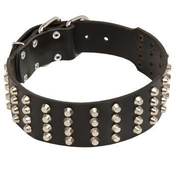 2 Inches Leather   Black Russian Terrier Collar Extra Wide Studded