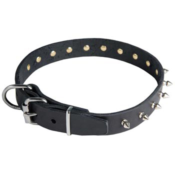 Black Russian Terrier Leather Collar with Spikes