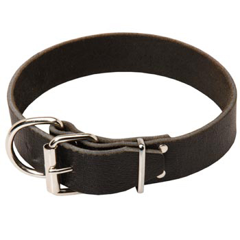 Black Russian Terrier Leather Collar