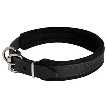 Padded Leather Black Russian Terrier Collar Adjustable