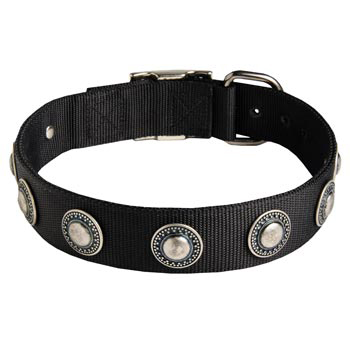 Black Russian Terrier Dog Nylon Collar Awesome Design