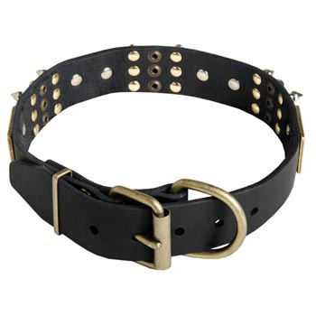 Studded Leather Black Russian Terrier Collar for Walking