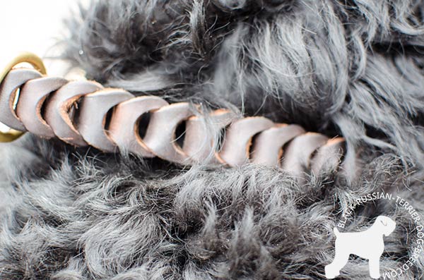 Braided Black Russian Terrier leather choke collar