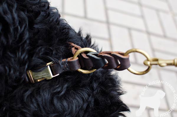 Black Russian Terrier genuine leather choke collar with quick release buckle