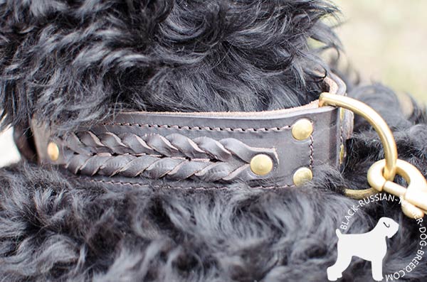 Braided design Black Russian Terrier genuine leather collar