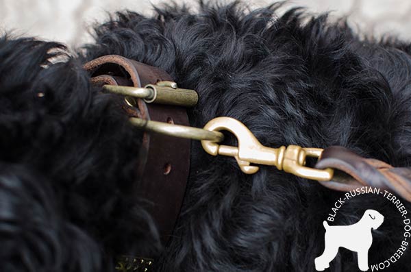 Black Russian Terrier collar with dependable non-rusting brass hardware