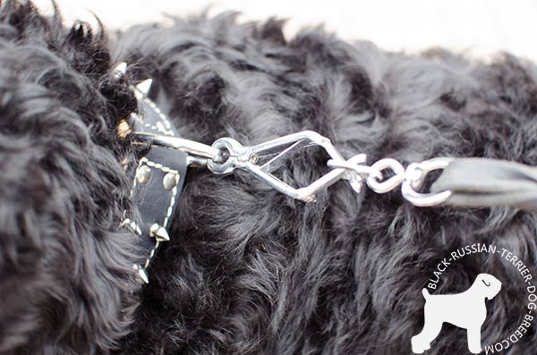 Black Russian Terrier collar with dependable nickel hardware