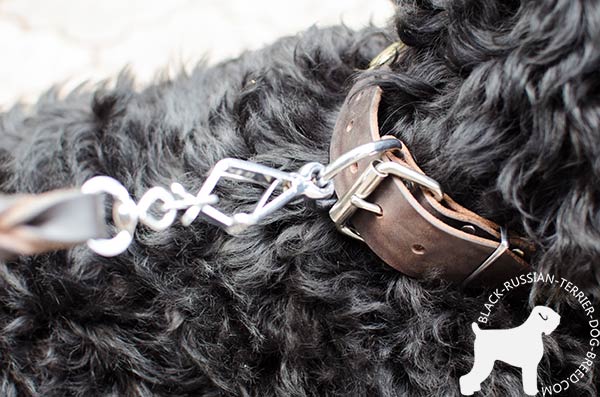 Black Russian Terrier collar with durable fittings