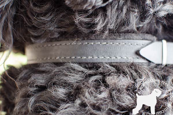 Felt padded reliable Black Russian Terrier collar