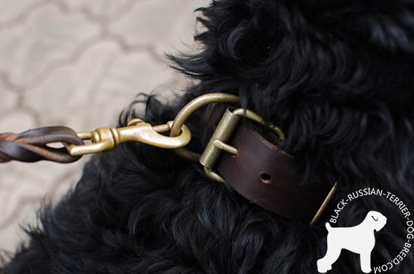 Black Russian Terrier genuine leather collar with non-breaking hardware