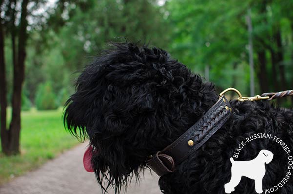 Outstanding design Black Russian Terrier  pure leather collar