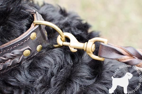 Black Russian Terrier genuine leather collar with strong D-ring