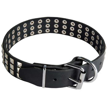 Leather Collar with Pyramids for Black Russian Terrier