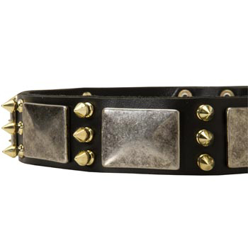 Stylish Leather Dog Collar for Black Russian Terrier