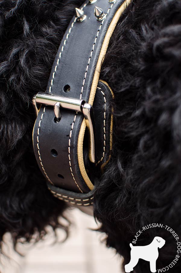 Black Russian Terrier leather collar of high quality with d-ring for leash attachment for improved control