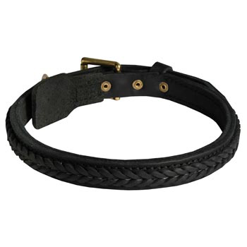 Braided Leather Collar for Black Russian Terrier
