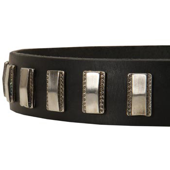 Stylish Leather Collar with Vintage Plates for Black Russian Terrier