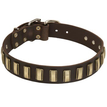 Leather Black Russian Terrier Collar Designer for Walking in Style