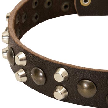 Leather Black Russian Terrier Collar with Hand Set Studs