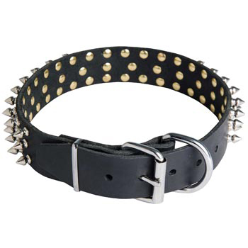 Spiked Buckle Collar for Black Russian Terrier