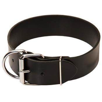 Black Russian Terrier Leather Collar of Extra Width