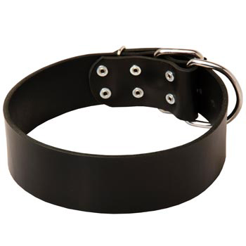 Leather Black Russian Terrier Collar for Control During Walking