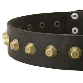 Leather Dog Collar with Brass Pyramids for Black Russian Terrier