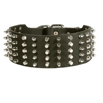 Black Russian Terrier Spiked Studded  Leather Collar
