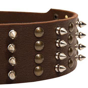 Black Russian Terrier Leather Collar with Rust-proof Fittings