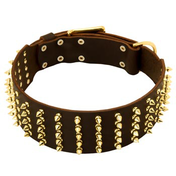 Fashionable Spiked Leather Black Russian Terrier Collar