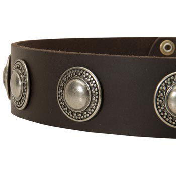 Leather Dog Collar with Conchos for   Black Russian Terrier