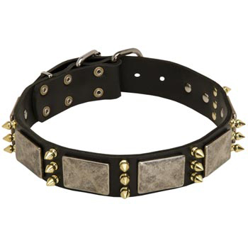 Vintage Leather Collar for Black Russian Terrier