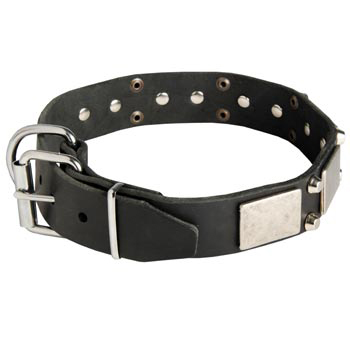 Leather Buckle Collar for Black Russian Terrier Walking