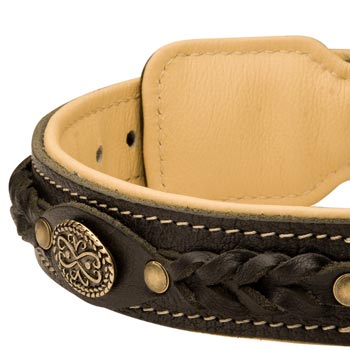  Leather Walking Fashion Collar for Black Russian Terrier
