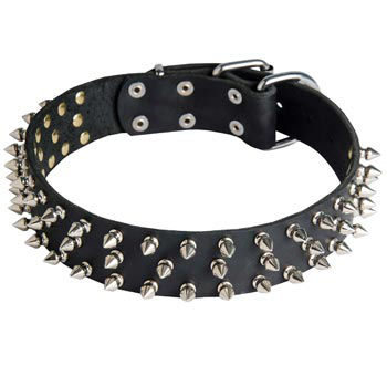 Leather Black Russian Terrier Collar with Spikes