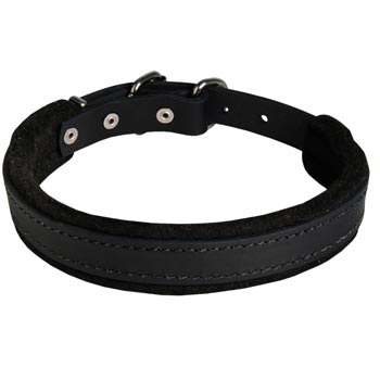 Black Russian Terrier Collar Leather for Dog Protection Attack Training