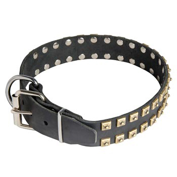 Leather Black Russian Terrier Collar with Solid Rivets