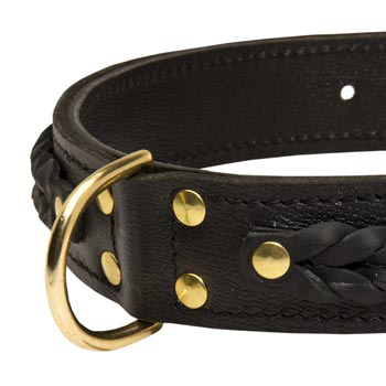 Black Russian Terrier Wide Leather Collar with D-ring