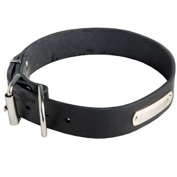 Leather Black Russian Terrier Collar for Identification