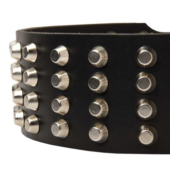 Leather Dog Collar with Studs for   Black Russian Terrier