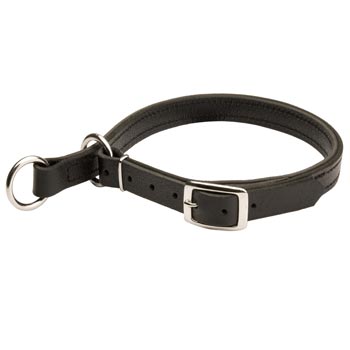 Black Russian Terrier Obedience Training Choke  Leather Collar