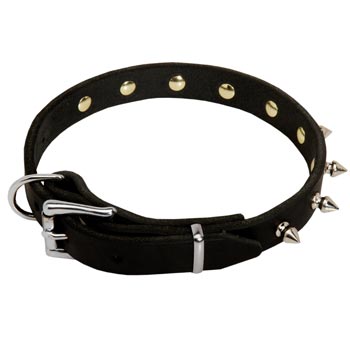 Black Russian Terrier Dog Leather Collar Steel Nickel Plated Spikes
