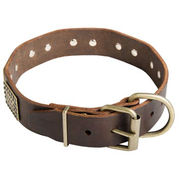 War-Style Leather Collar for Black Russian Terrier